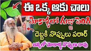 మోకాళ్ళలో గుజ్జు పెరిగిదెబ్బకి నొప్పులు పరార్ || Knee Pain Relief || Baba Santh Sadhanananda Giri