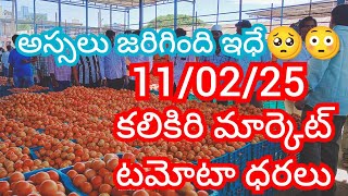 11-02-25 Kalakada Tomato Market price Today || Today Tomato Market Rate in Kalikiri #today