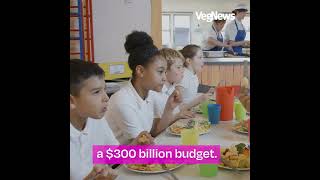 California Supports Plant-Based School Meals With $700 Million Investment