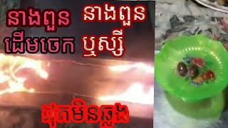 នាងពួនដើមចេក នាងពួនឬស្សី ដុតភ្លើងមិនឆ្លង Magic Part 4