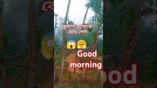 কুয়াশা আবারো বেড়ে গেল, #video #shorts #video