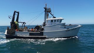 Reeling to Rebuilding: Success for West Coast Groundfish Fisheries