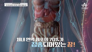 [예고] 우리 몸의 최대 면역 기관! 장의 활력을 되찾는 방법은? | 100세 프로젝트 73 회