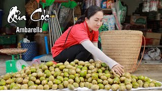 Harvesting AMBARELLA goes to the market sell - harvest tropical fruits | Emma Daily Life