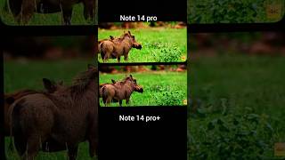 Redmi note 14 pro vs redmi note 14 pro+ Display quality 🥵🔥🔥🔥🔥 #shorts #trending #smartphone