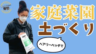 【ヘアリーベッチ】おすすめの緑肥植物はコレ！ヘアリーベッチで土づくり　窒素固定で土壌を肥沃にする　【農家の家庭菜園】