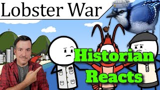 The Dumbest War Nobody Ever Talks About - BlueJay Reaction