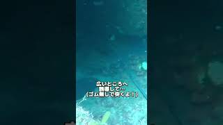 海底の穴になんかおる…