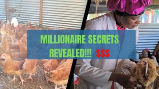 Millionaire Secrets Revealed: Raise Healthy Improved Kienyeji Chicks\u0026 Chickens with Expert Tips!