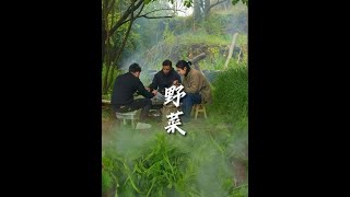 属于春天的盛宴   野菜大餐！！#新农人计划2024  #乡村守护人 #农村美食 #野菜 #我的乡村生活