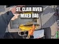 Mixed Bag on the St. Clair River - Walleye, Bass and...