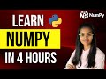 Learn NUMPY in 4 hours | Full numpy course in one video | Numpy basic to master | Data science numPY