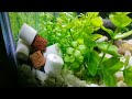 diy aquarium setup decoration ideas.একুরিয়াম সাজানো।