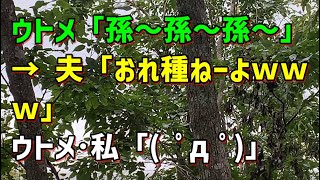 【スカッとひろゆき】ウトメ「孫～孫～孫～」 → 夫「おれ種ねーよｗｗｗ」 ウトメ･私「( ﾟдﾟ)」