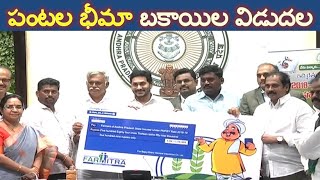 పంటల భీమా బకాయిల విడుదల || CM YS Jagan distributes Crop Insurance Amount to Farmers