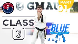 Taekwondo - Blue Belt - Class 3 (Part 1)