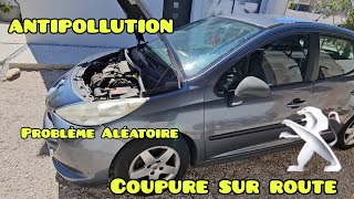 Antipollution à contrôler coupure sur route Peugeot 207 Hdi 🫡✅️