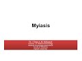 myiasis