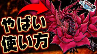 Black rose dragon