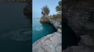 cliff jumping #beach #adventuresports #travel #cliffjumping #backflip #doublebackflip #motivation