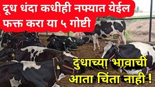 दूध धंदा कधीही नफ्यात येईल फक्त करा या ५ गोष्टी।लवकर वापरा।dairy business profit plan गाय/म्हैस