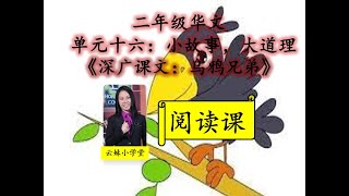 【二年级华文KSSR_SEMAKAN】【第十六单元】【小故事，大道理】【深广课文：乌鸦兄弟】【阅读课】