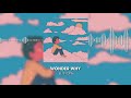 Eli Noir - Wonder Why (Lyrics)