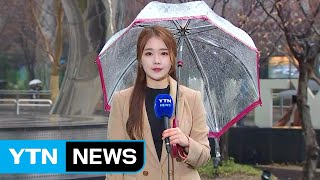 [날씨] 비바람에 강원 산간 폭설...이례적 겨울폭우 / YTN