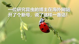 坤姐闯江湖：一位研究昆虫的博主在海外网站开了个新号，说了这样一番话！