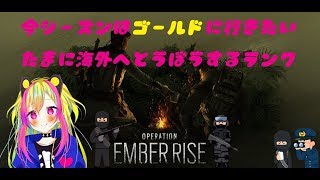 【R6S/PC】サブ垢のクリアランスレベル上げとオペレーターを開放していく【Vtuber】