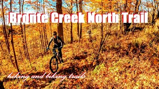 Fall in Love with Bronte Creek North Trail's STUNNING Colours