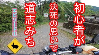 【CB1000R】道志みちで初心者が精神崩壊⁉偶然見つけた絶景スポット(エピソード1)