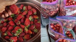 Fresh Strawberries! 🍓 Unboxing \u0026 First Impressions