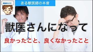 【獣医の本音】獣医さんになってよかったこと、よくなかったこと10選　〜僕は獣医師になってよかった？〜