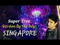 Garden By The Bay | Super Tree | Singapore Tour