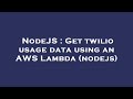 NodeJS : Get twilio usage data using an AWS Lambda (nodejs)