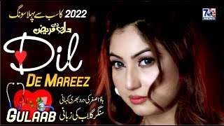 Dil De Mareez | Gulaab | Punjabi Sad Song official | Latest Punjabi Saraiki Songs