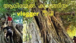 മരുഭൂമിയിലെ ആൽമരങ്ങൾ | മരം ഒരു വരം 🌳🌳 | BanyanTree Farm | Madha