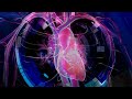 Cardiac Troponins and Checkpoint Inhibitors