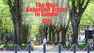 The Most Beautifull Street In Sendai City