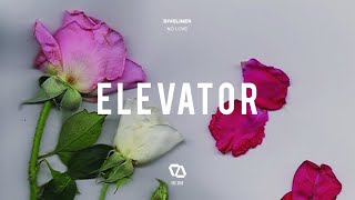 Diveliner - No Love