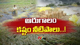 రైతులను కన్నీరు పెట్టిస్తున్న ఫెంగల్ తుఫాన్ | Eluru | Cyclone Fengal  | Ntv