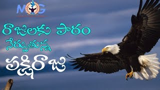 రాజులకు పాఠం నేర్పుతున్న పక్షిరాజు..|| UNKNOWN FACTS OF AN EAGLE RELATED TO BIBLE || MINDOFGOD