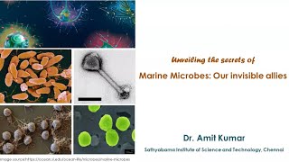 Marine microbes: Part 5C (Method in microbiology - Imaging techniques)