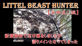 単独忍び猟　Littel Beast Hunter　新規開拓で尾根伝いに忍んでみましたが全くでした。なので尾根を歩きながらの雑談の日です。　#猟犬 #狩猟 #単独猟