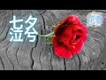 《 七夕· 泣兮 》=== ✒️創意寫作 | 抒情散文 | 經典作品 | 情感美文 | 詩詞 | 情感 | 短文 | 日记