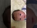 つぶらな瞳💗ＴＷＩＮboy👦👦 幸せをおすそわけ🥰🥰 一卵性双生児 双子 youtubeshorts