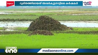 അപ്പർകുട്ടനാട്ടിൽ  പുഞ്ച കൃഷിക്ക് നിലം ഒരുക്കിയിട്ടും വിതയ്ക്കാൻ വിത്തില്ലാതെ കർഷകർ