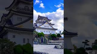 岸和田城 / Kishiwada Castle #大阪 #岸和田 #岸和田城 #城