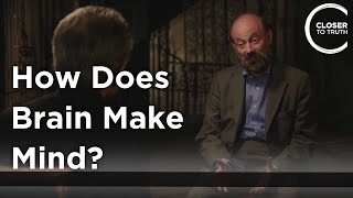 Raymond Tallis - How Does Brain Make Mind?